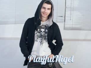 PlayfulNigel