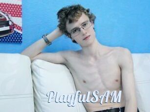 PlayfulSAM