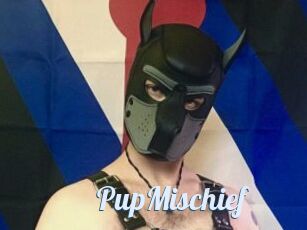 PupMischief
