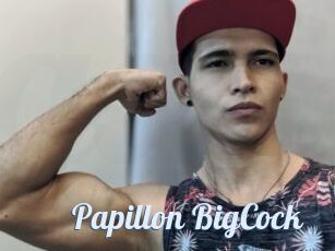 Papillon_BigCock