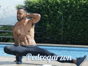Pedrogarzon