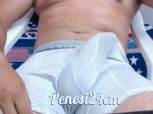 Penesi24cm