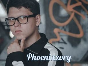 Phoenixzorg