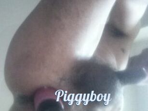 Piggyboy
