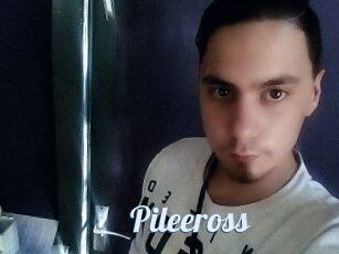 Pileeross