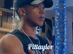 Pittaylor