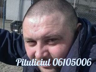Pituliciul-06105006