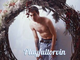 Playfultorvin