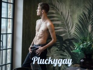 Pluckygay
