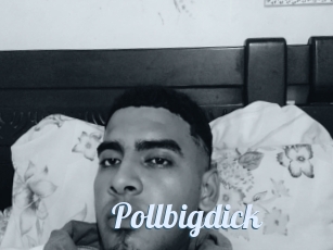 Pollbigdick