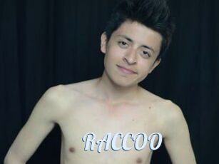RACCOO
