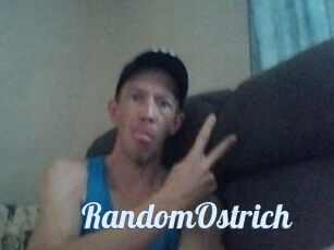 RandomOstrich