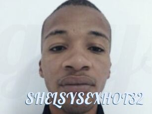 SHELSYSEXHOT32