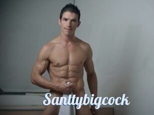 Santtybigcock