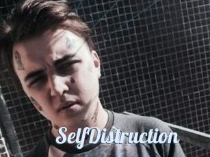 SelfDistruction