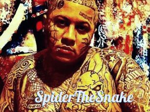 SpiderTheSnake