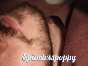 Spinelesspoppy