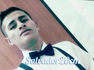 Salvador20cm