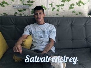Salvatredelrey
