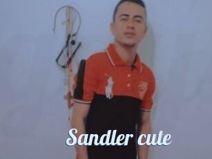 Sandler_cute