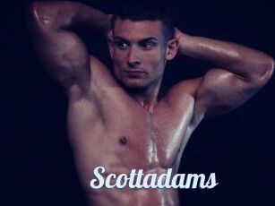 Scottadams