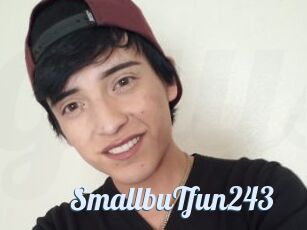 SmallbuTfun243