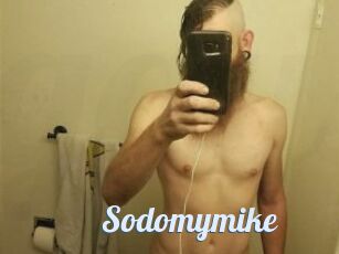 Sodomymike