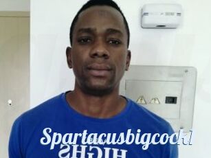 Spartacusbigcock1
