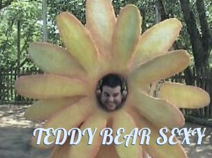 TEDDY_BEAR_SEXY