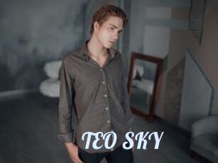 TEO_SKY