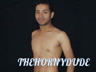 THEHORNYDUDE