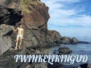 TWINKELIKINGUD