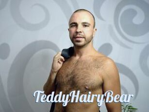 TeddyHairyBear