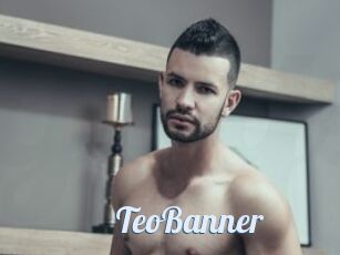 TeoBanner