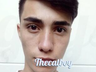 Thecatboy