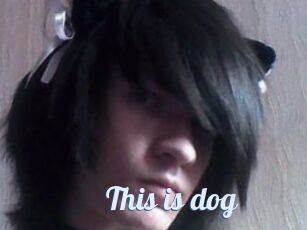 This_is_dog