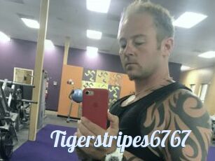 Tigerstripes6767