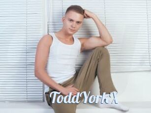 ToddYorkX