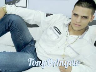 TonyDAngelo