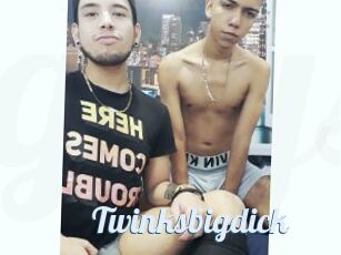 Twinksbigdick
