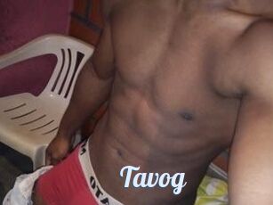 Tavog