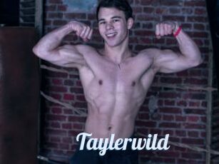 Taylerwild