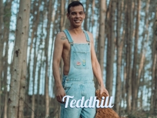 Teddhill