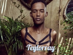 Teylorray