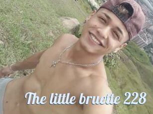 The_little_bruette_228