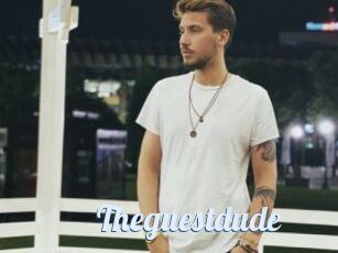 Theguestdude
