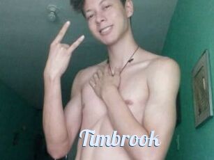 Timbrook
