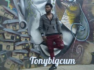 Tonybigcum