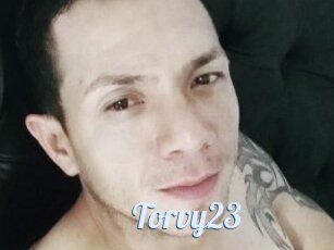 Torvy23