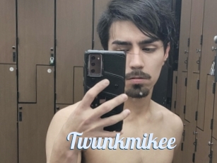 Twunkmikee